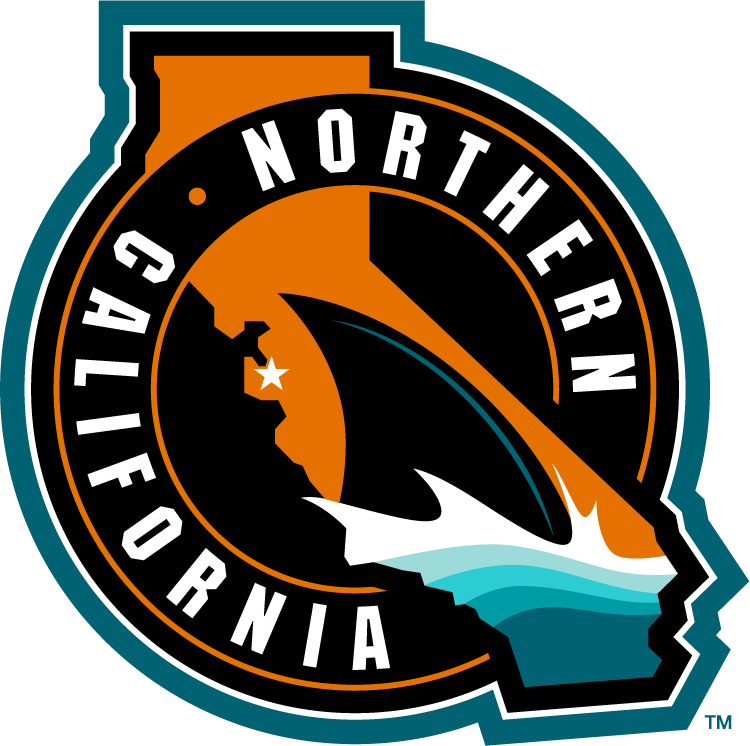 San Jose Sharks 2015 Special Event Logo v2 iron on heat transfer